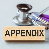 Appendix