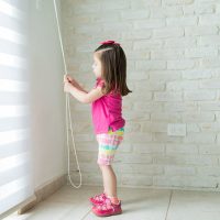 WindowBlinds WindowBlinds