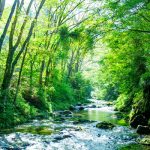MountainStream MountainStream