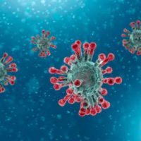Coronavirus3 Coronavirus3