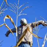 Scarecrow Scarecrow