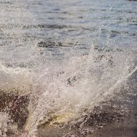 RiverSplash RiverSplash